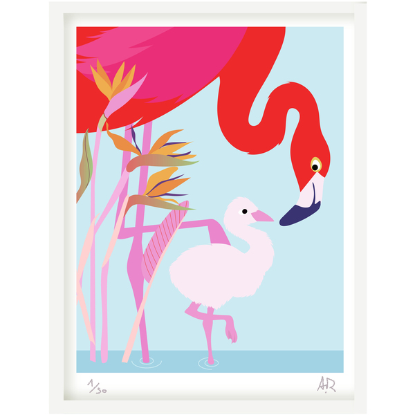 Art print Flamand rose